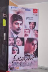 Nuvvala Nenila Audio Launch